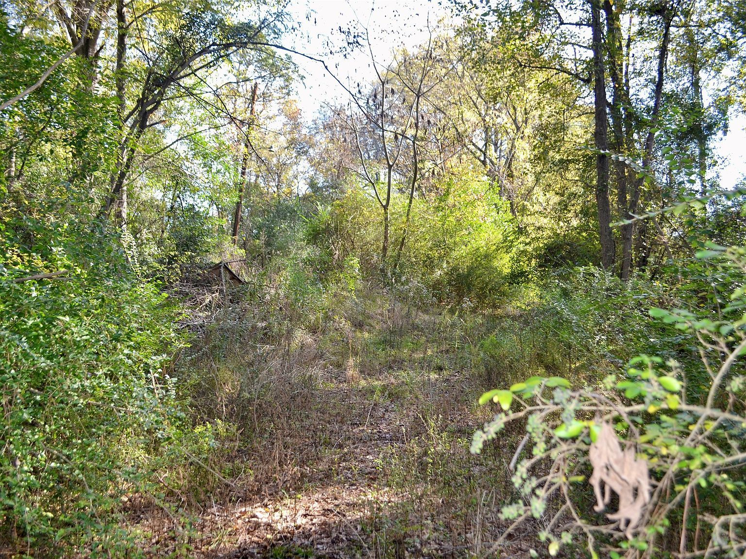 TRACT 2 Long St Waskom, TX 75692 - Thumbnail 3