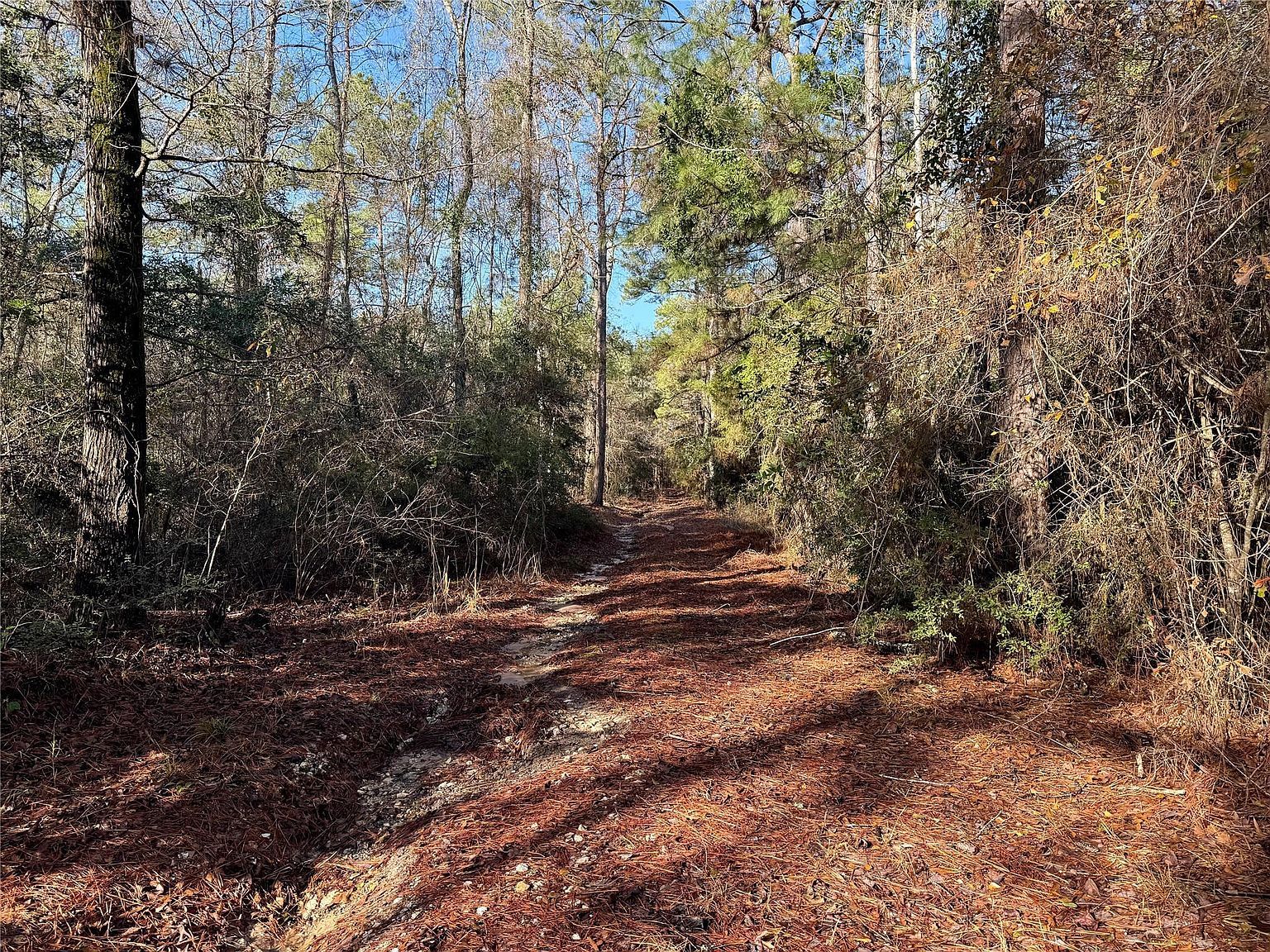 2694 Cr 4020 Crockett, TX 75835 - Thumbnail 3