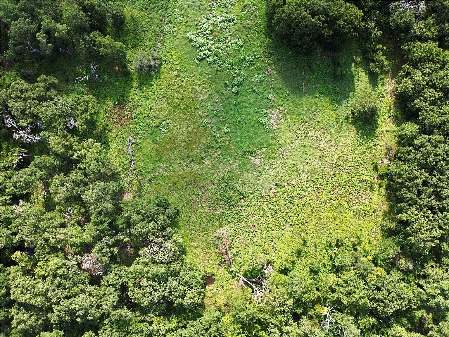 0 R And R Cir LOT 12 Kemp, TX 75143 - Thumbnail 3