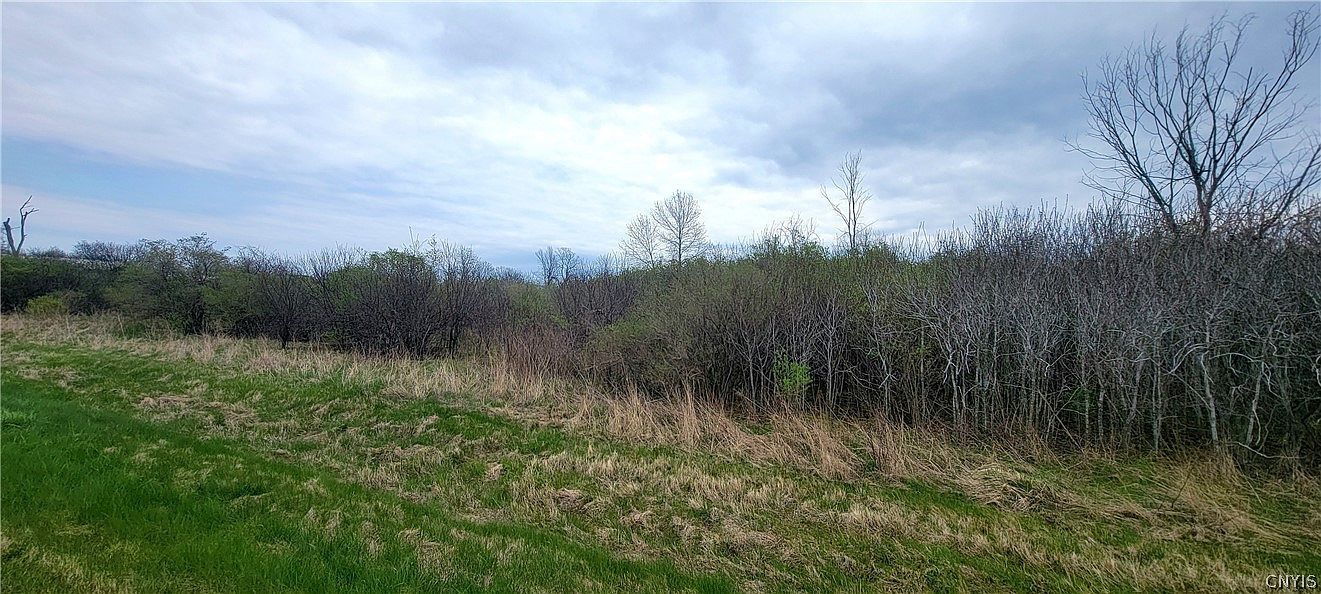 3350 Bedford Corners Rd #59 Cape Vincent, NY 13618 - Thumbnail 3