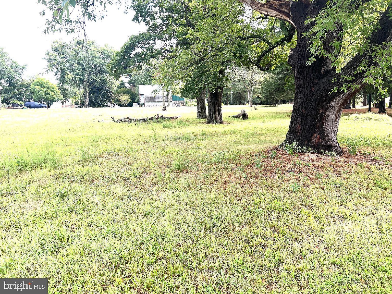 26532 Jersey Rd Millsboro, DE 19966 - Thumbnail 3