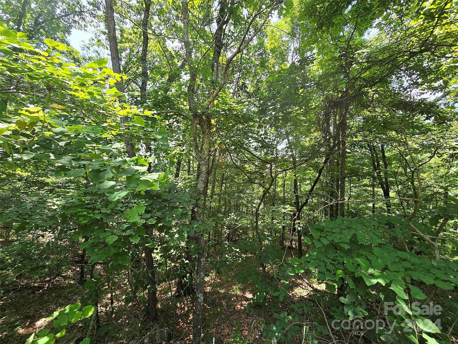 0 Pinnacle Pkwy Union Mills, NC 28167 - Thumbnail 3