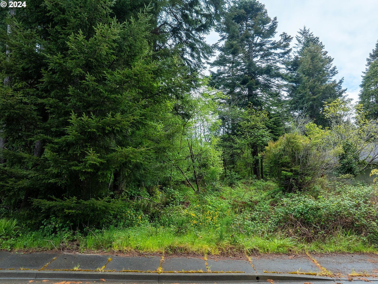 0 9th St NE Bandon, OR 97411 - Thumbnail 3