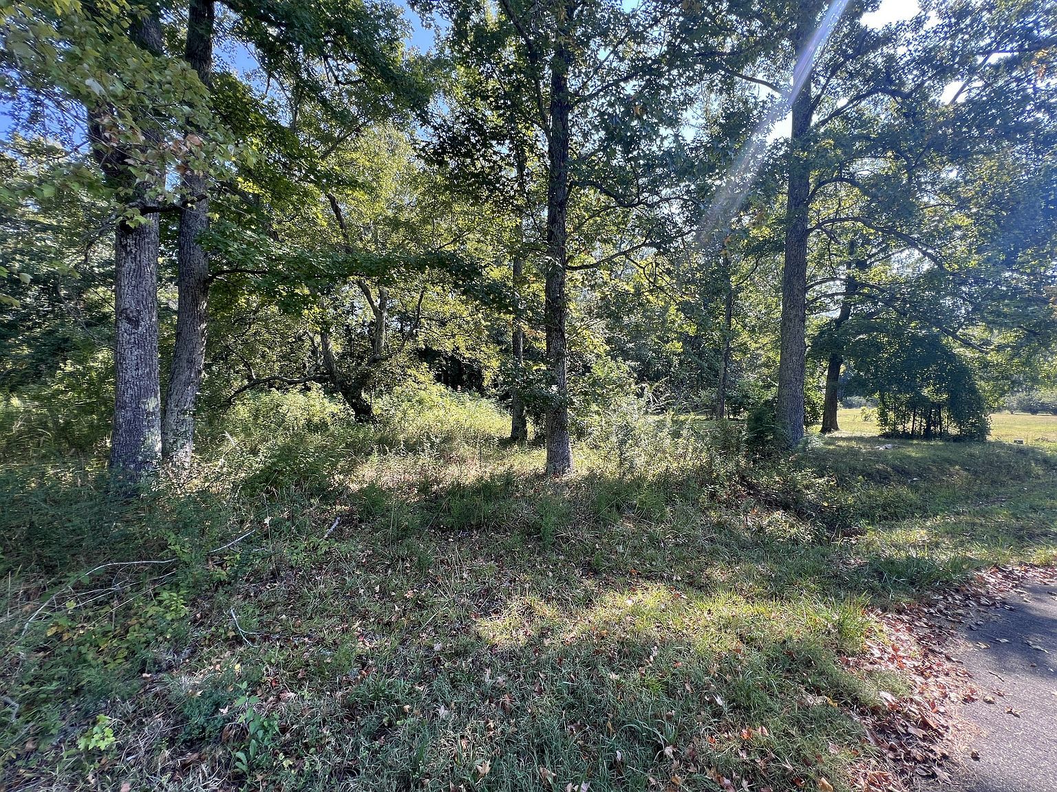 0 Higdon Ck Dr, Camden, TN, 38320 | Land/Lot