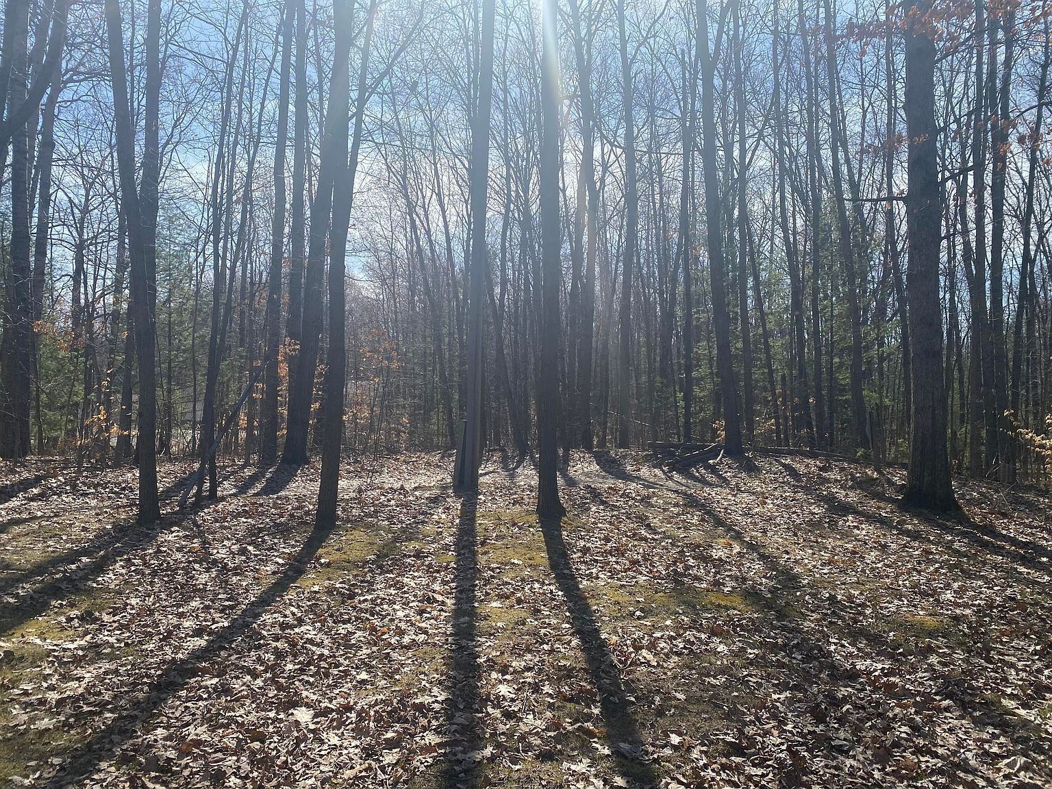 9019 John St Mecosta, MI 49332 - Thumbnail 3