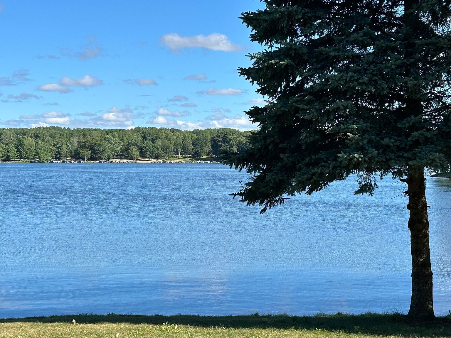 7914 W Royal Rd Stanwood, MI 49346 - Thumbnail 3