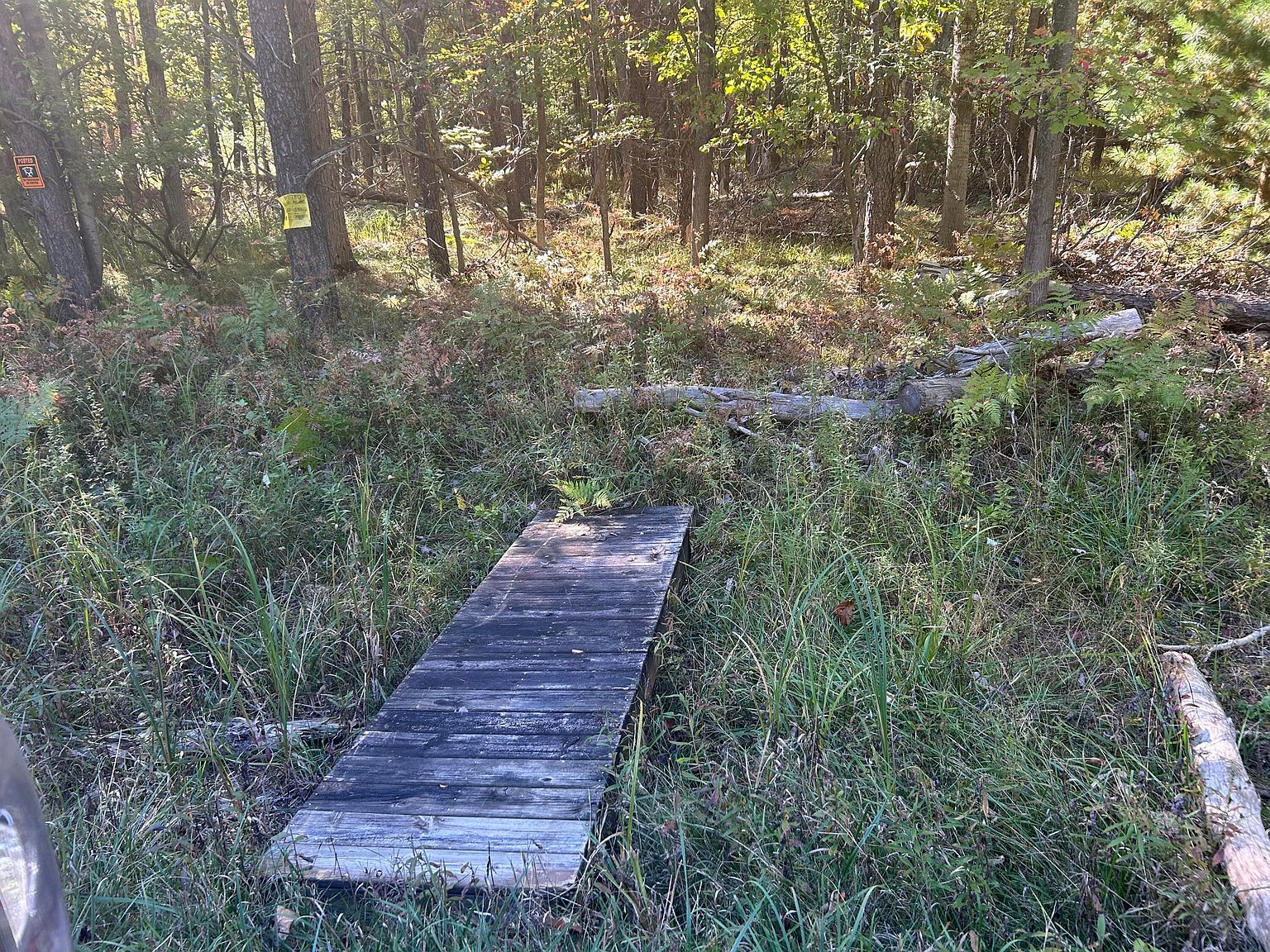 6195 110th Ave, Stanwood, MI, 49346 - Thumbnail 3