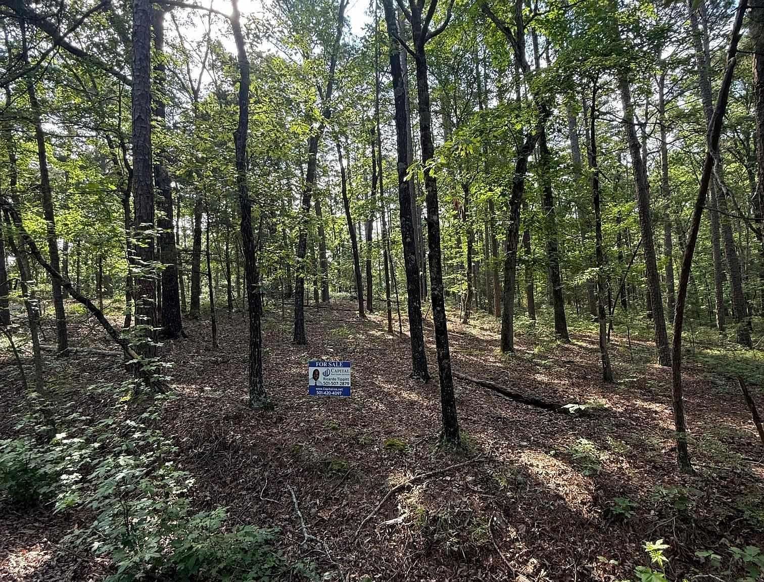 Almansa Ln Hot Springs Village, AR 71909 - Thumbnail 3