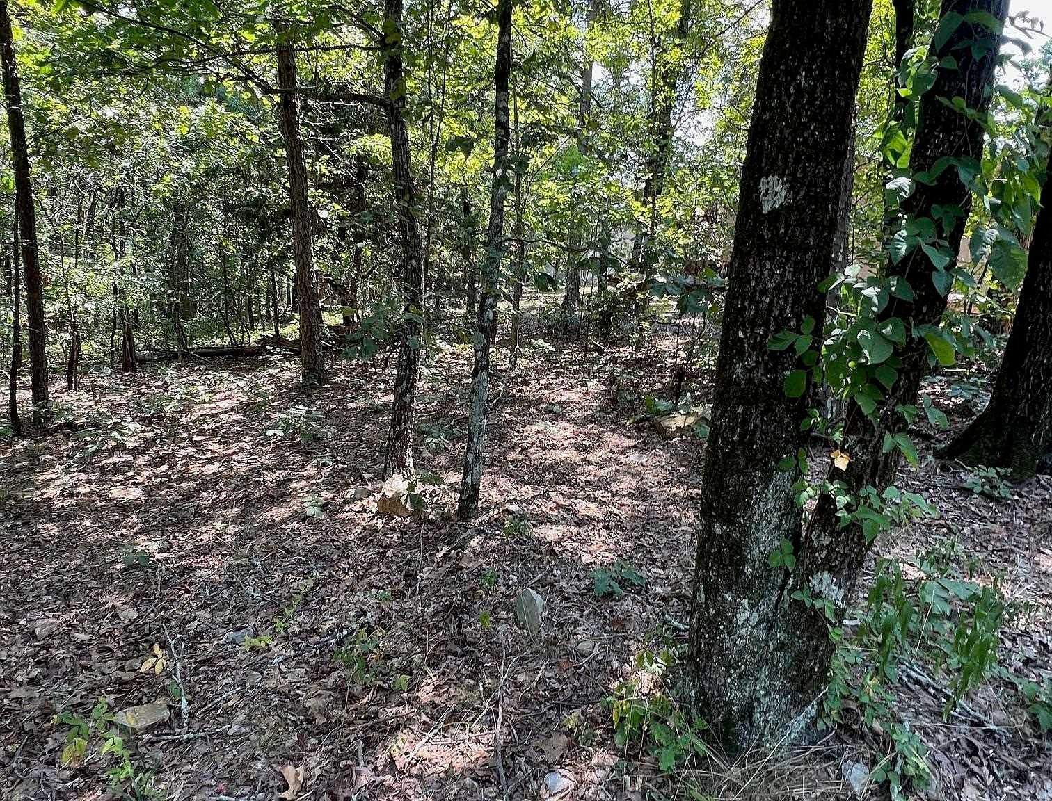 Murcia Way Hot Springs Village, AR 71909 - Thumbnail 3