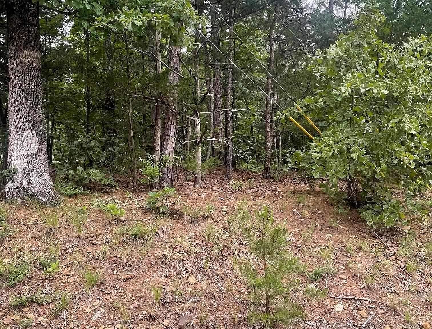 108 Castle View Ct Fairfield Bay, AR 72088 - Thumbnail 3