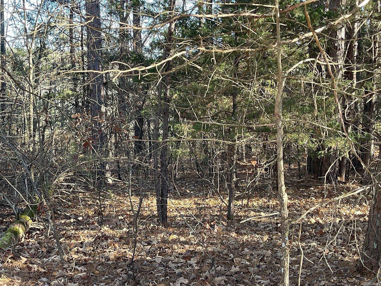 LOT-38R Mountain Ranch Dr Fairfield Bay, AR 72088 - Thumbnail 3