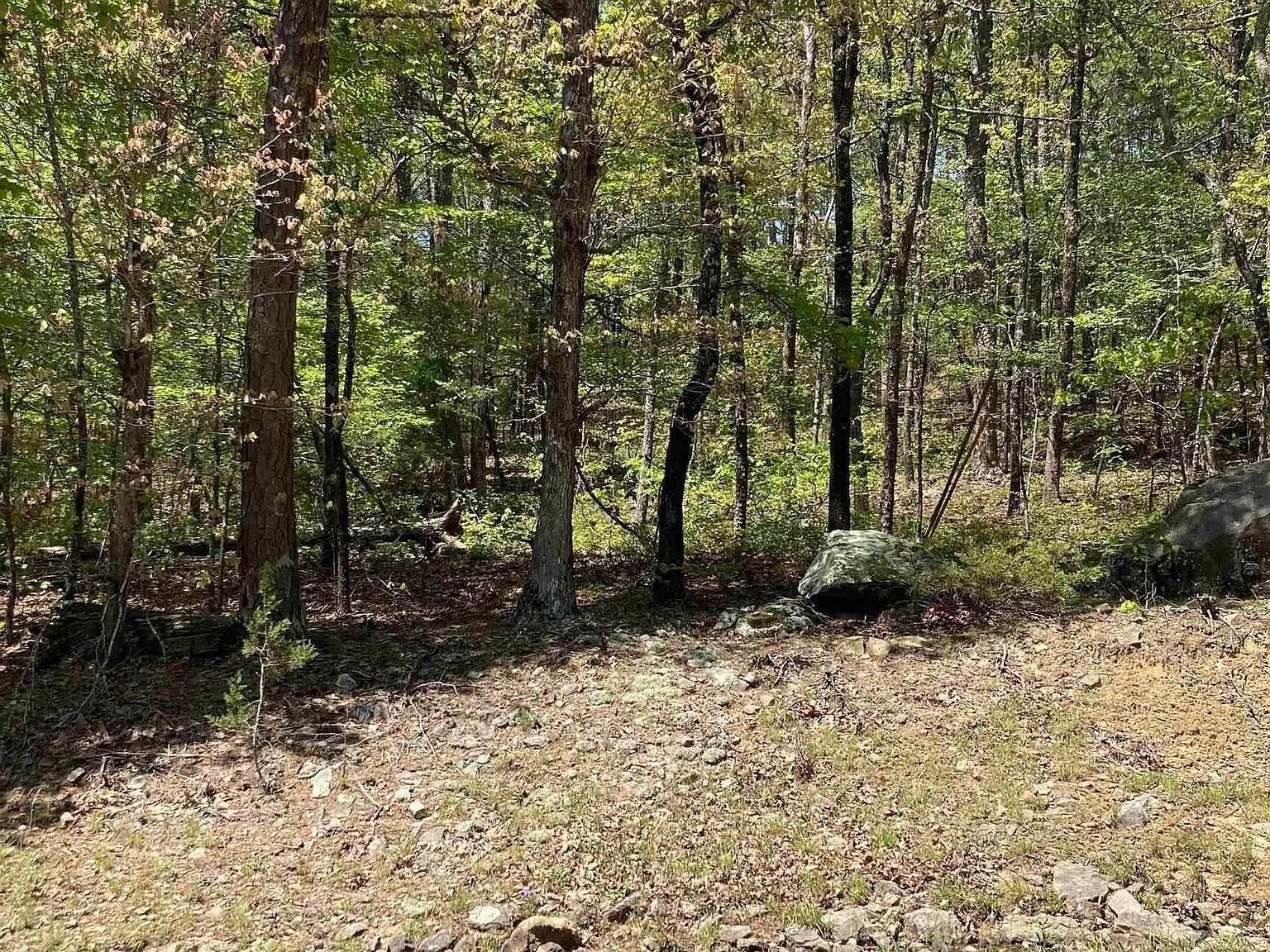 46 Cambridge Ct Fairfield Bay, AR 72088 - Thumbnail 3