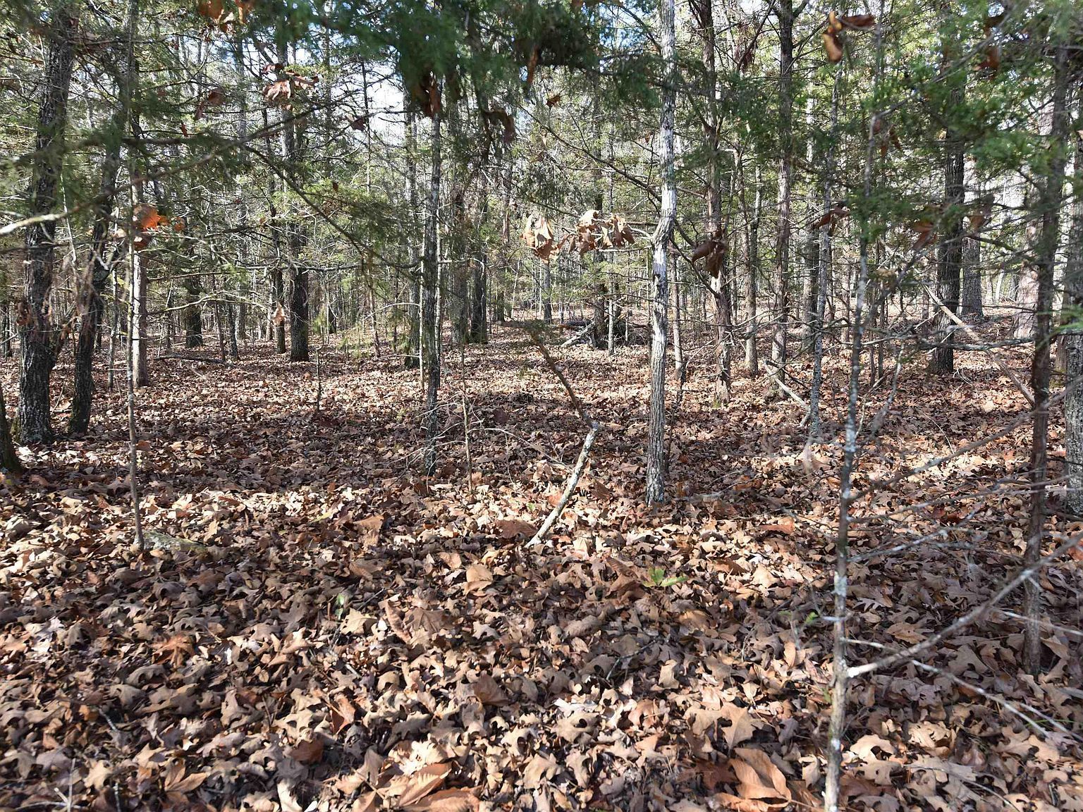 LOT 53 Sunnyside Ave, Fairfield Bay, AR, 72088 - Thumbnail 3