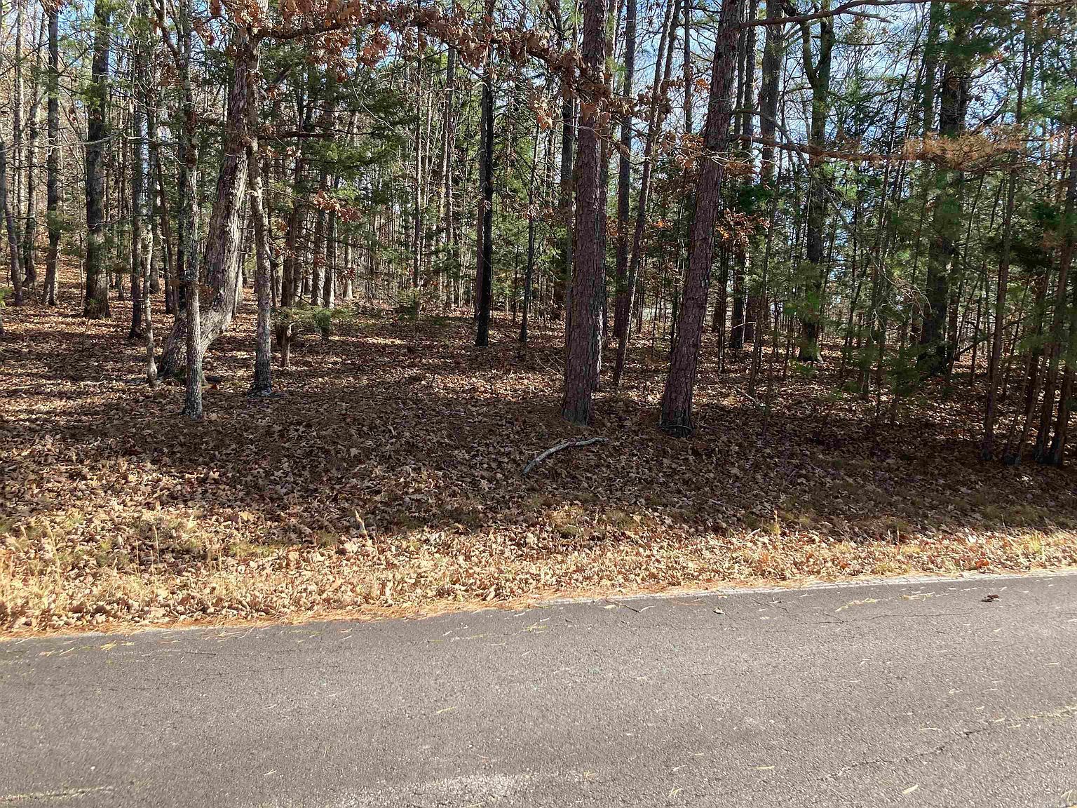 58 & 59 Hilltop Dr Fairfield Bay, AR 72088 - Thumbnail 3