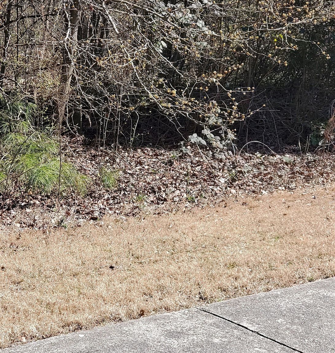 3452 Tiffany Cove Dr Loganville, GA 30052  | Land/Lot