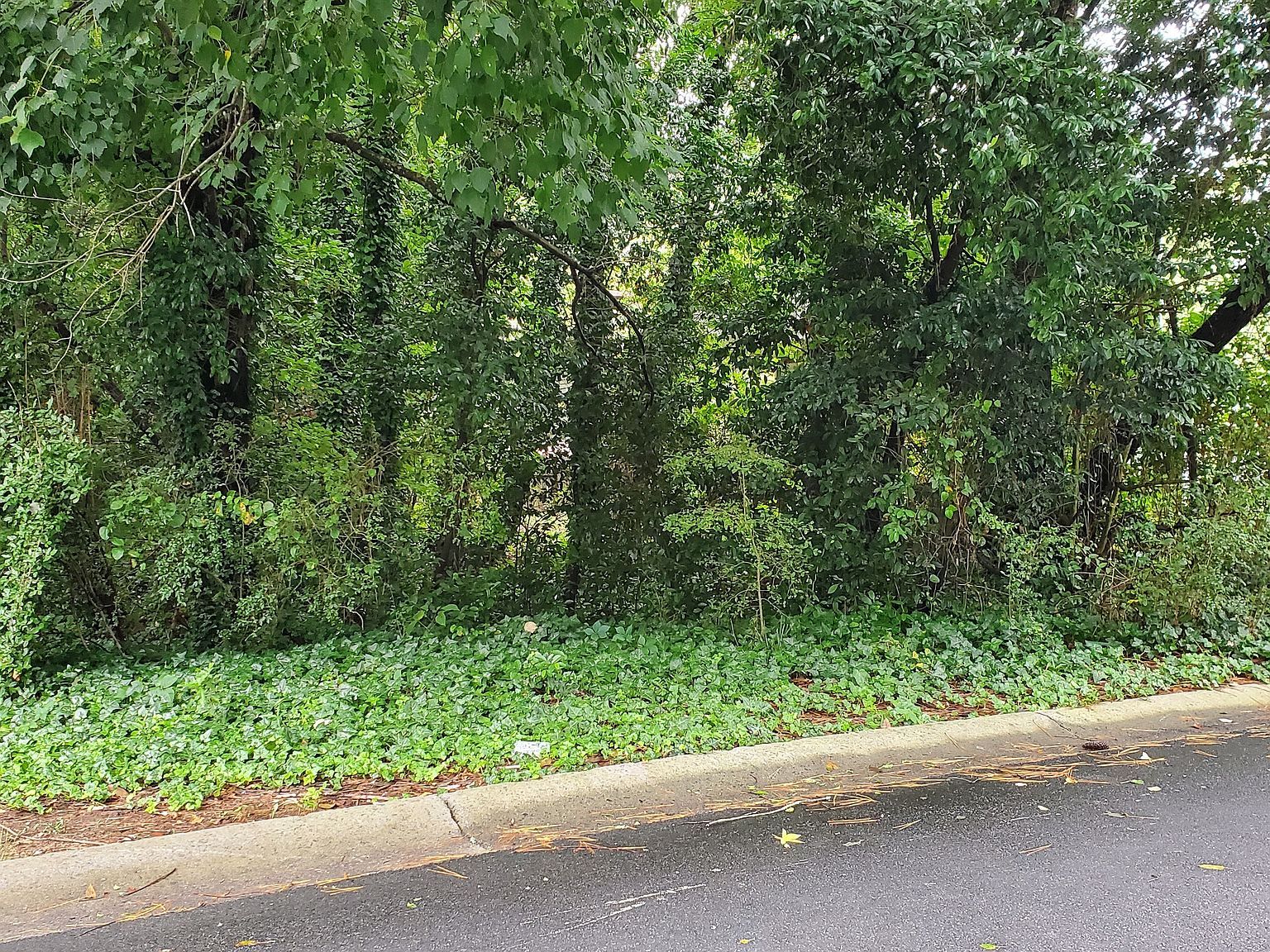 701 Springhollow Ln Marietta, GA 30008 - Thumbnail 3