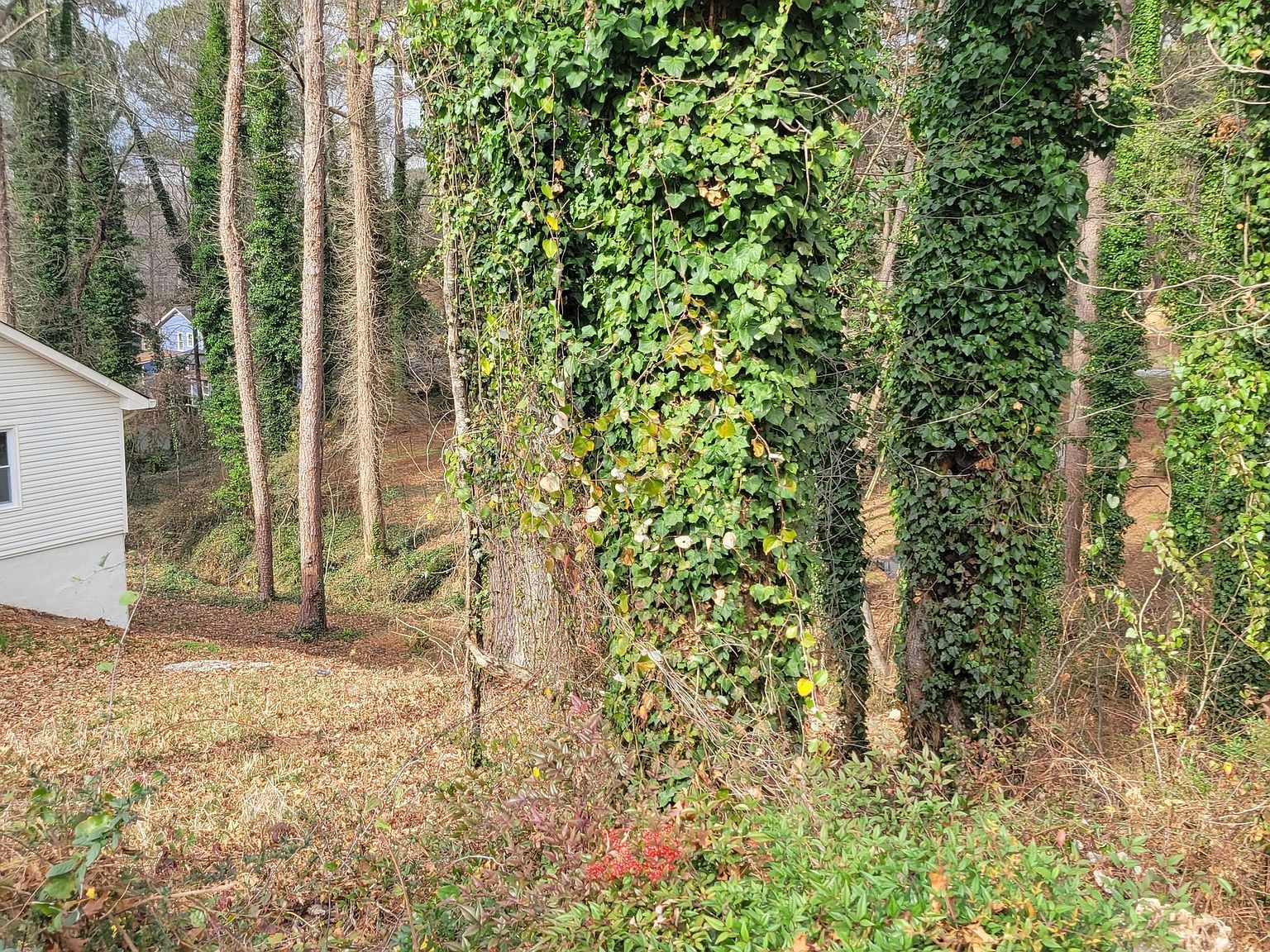 21 Saratoga Dr Lawrenceville, GA 30044 - Thumbnail 3