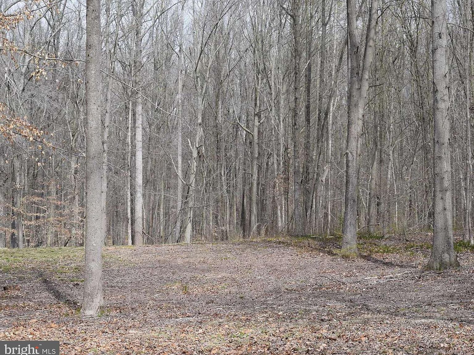 355 Masseys Church Rd Smyrna, DE 19977 - Thumbnail 3