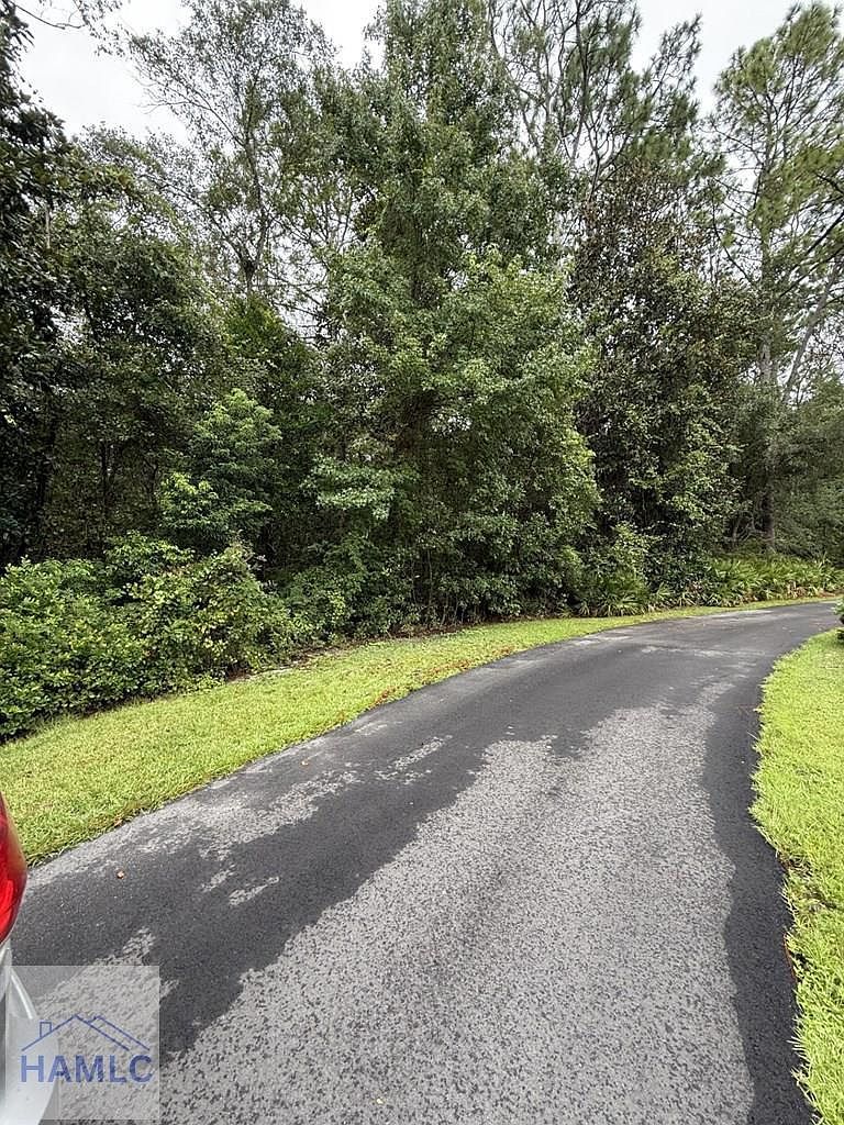 385 N Hickory St Jesup, GA 31546 - Thumbnail 3
