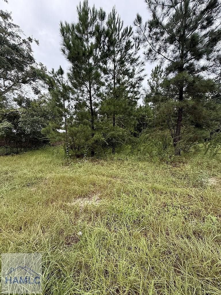 (undisclosed Address) Jesup, GA 31546 - Thumbnail 3