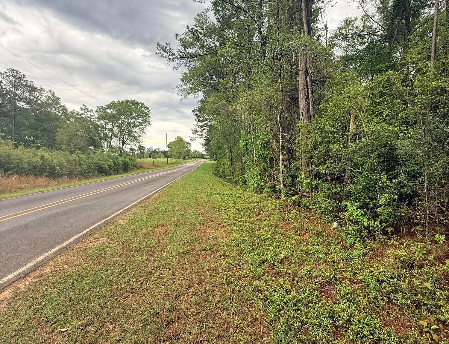 0 Rainey Rd Moselle, MS 39459 - Thumbnail 3