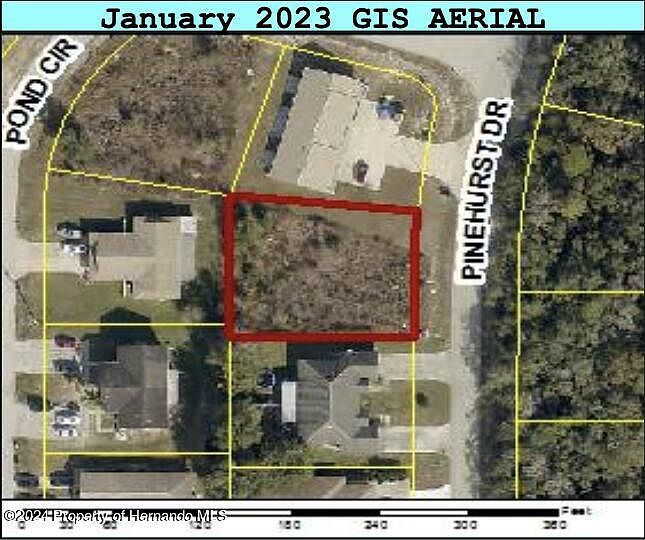 7797 Pinehurst Dr Spring Hill, FL 34606 - Thumbnail 3