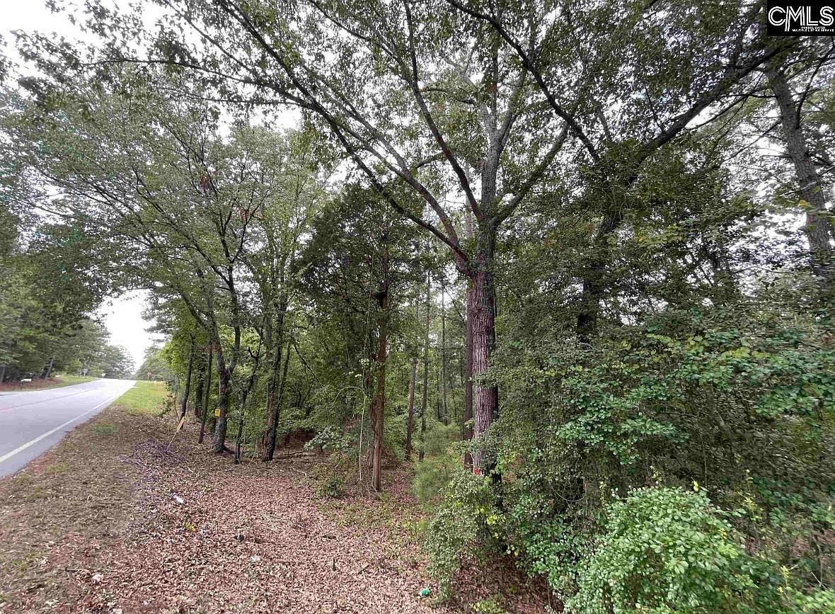 2372 Miles Rd Elgin, SC 29045 - Thumbnail 3