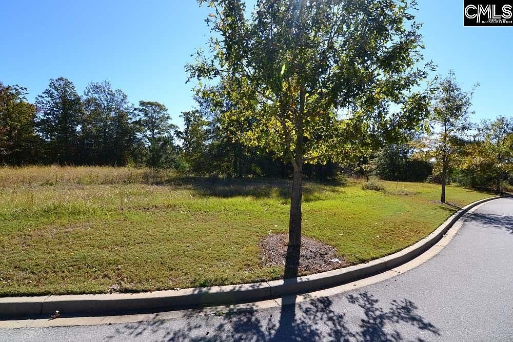 10 Blythe View Ct #13 Blythewood, SC 29016 - Thumbnail 3