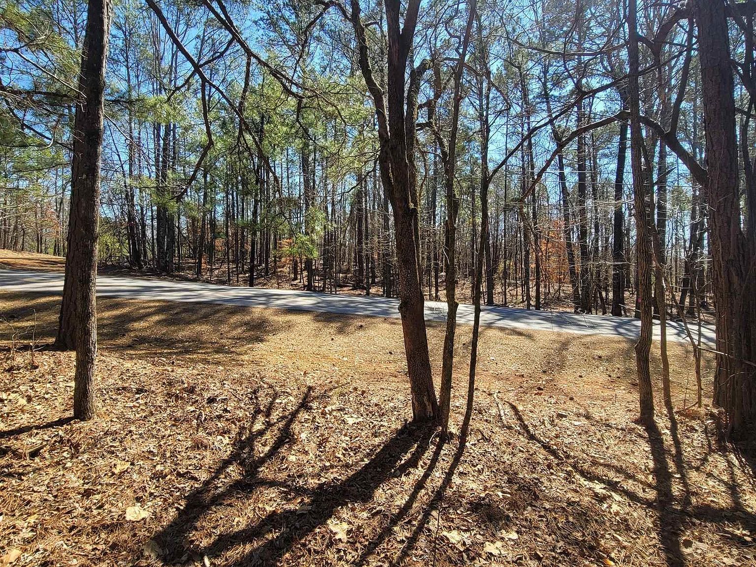 40 Stillwaters Dr Dadeville, AL 36853 - Thumbnail 3