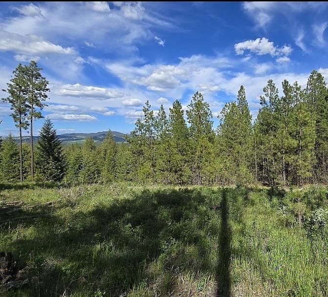 22XX E Miller Rd Spangle, WA 99031 - Thumbnail 3