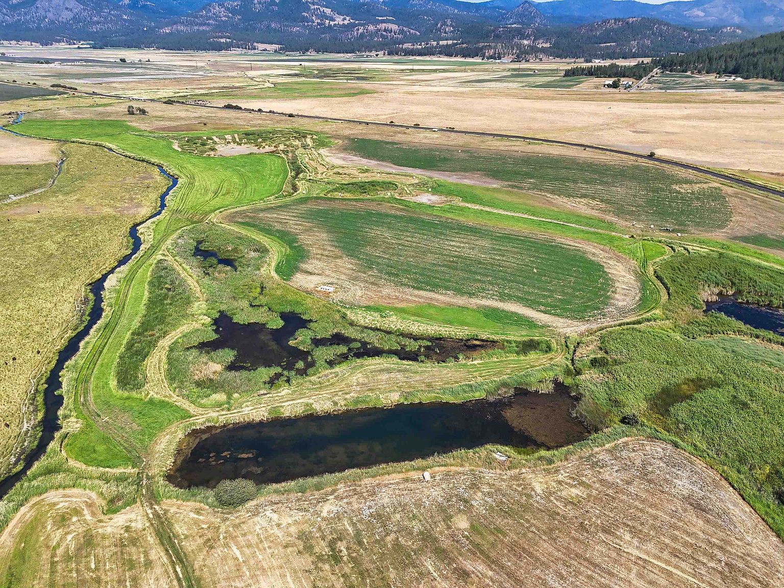 100XX Newton Rd Chewelah, WA 99109 - Thumbnail 3