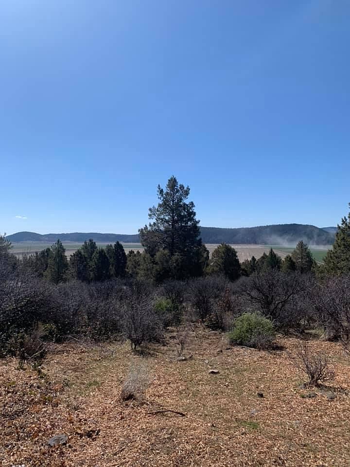 Crossbill Dr LOT 1062 Klamath Falls, OR 97601 - Thumbnail 3