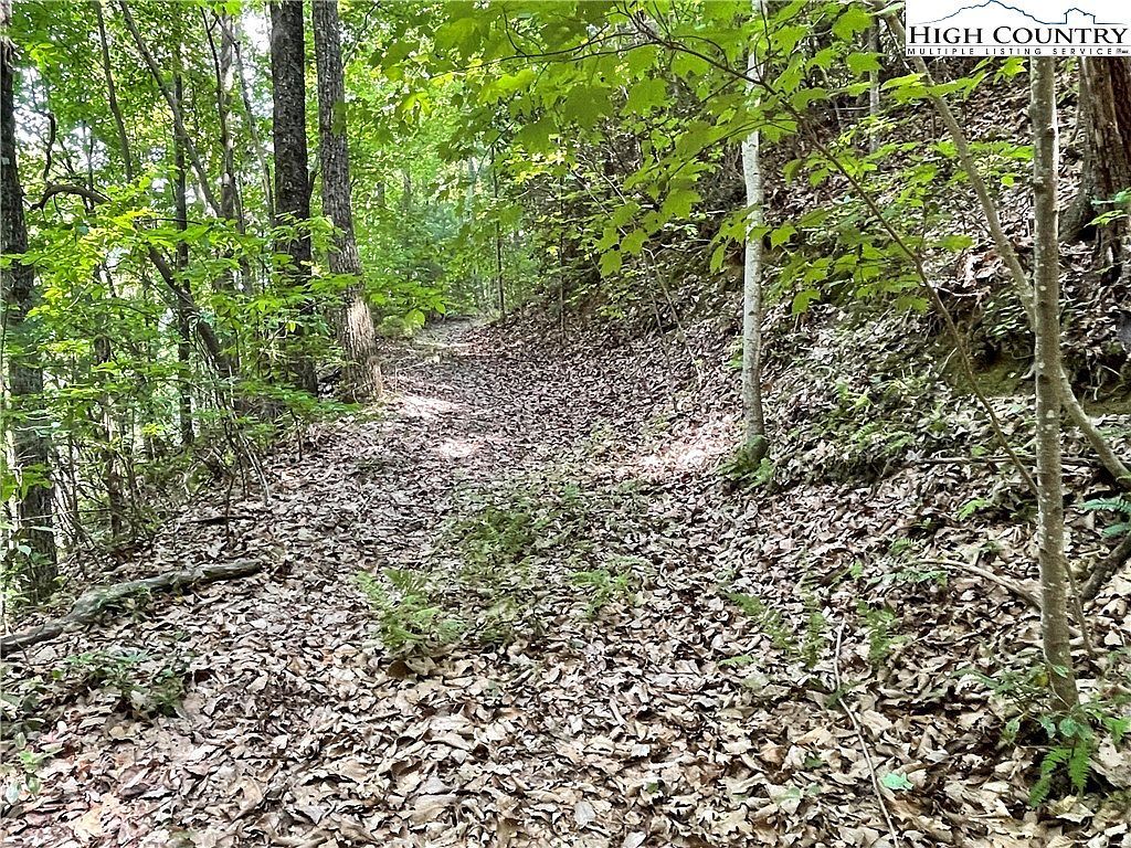 0 Bear Run Lenoir, NC 28645 - Thumbnail 3