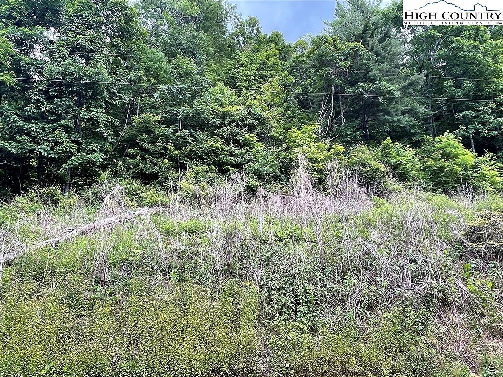 0 Buckeye Hollow Rd Newland, NC 28657 - Thumbnail 3