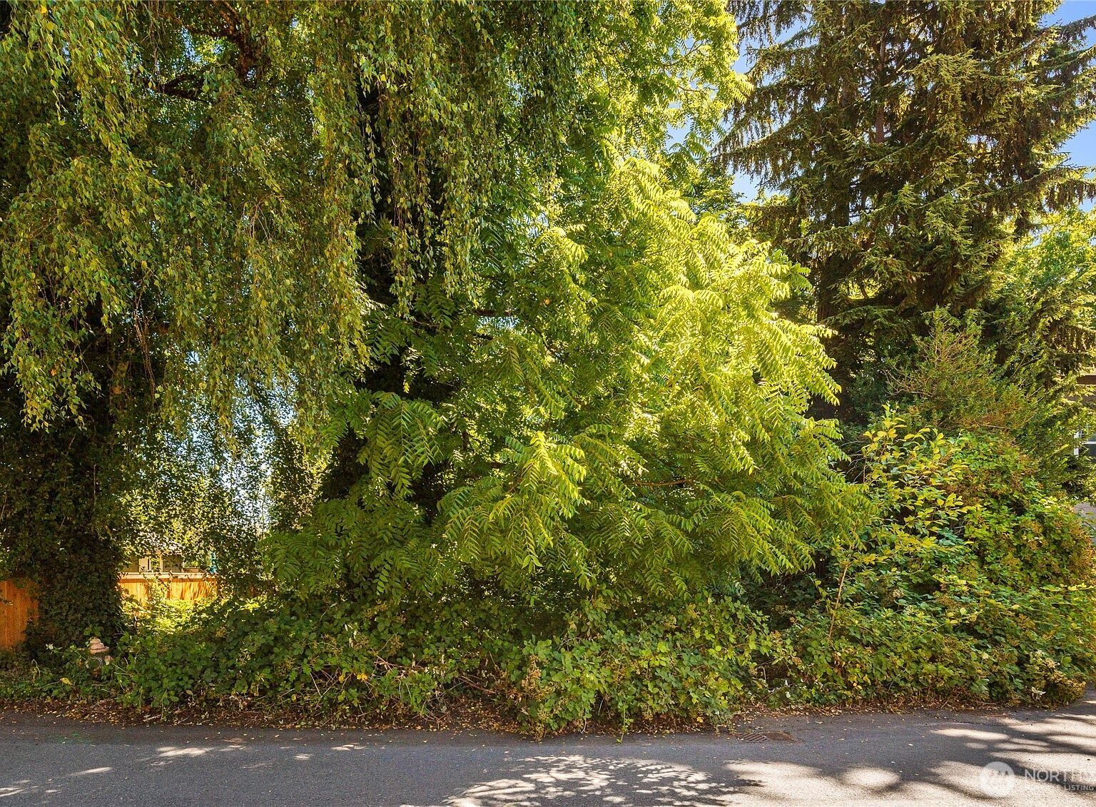 315 Lind Ave SW Renton, WA 98057 - Thumbnail 3