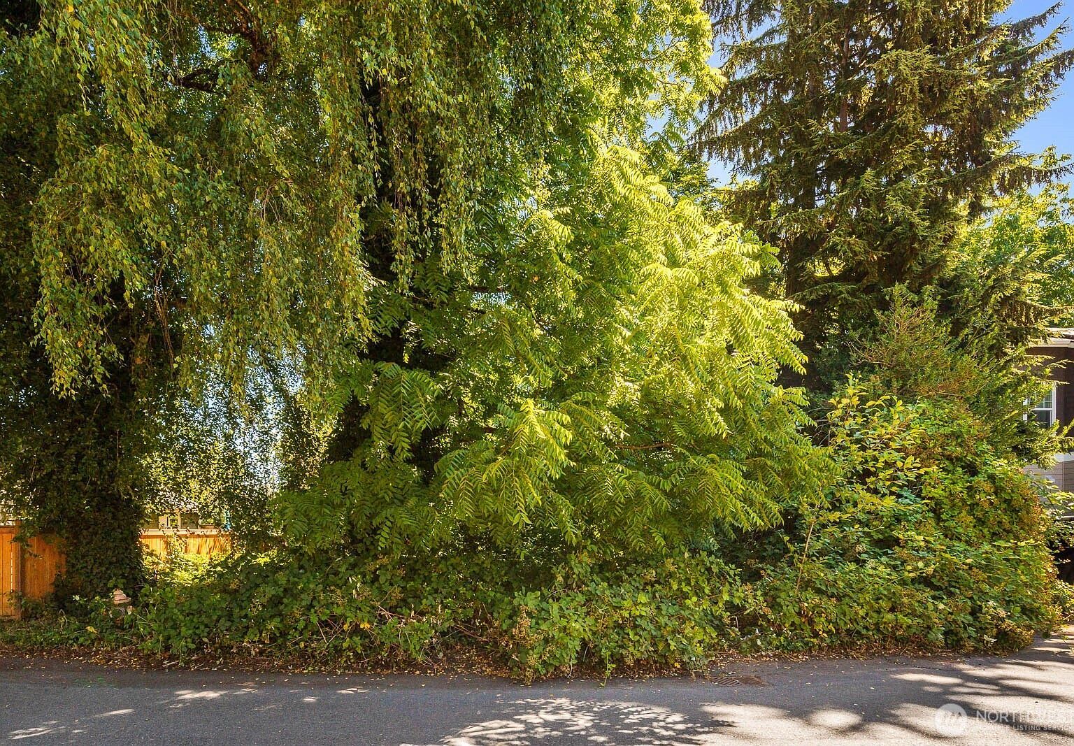 672 Lind Ave NW Renton, WA 98057 - Thumbnail 3