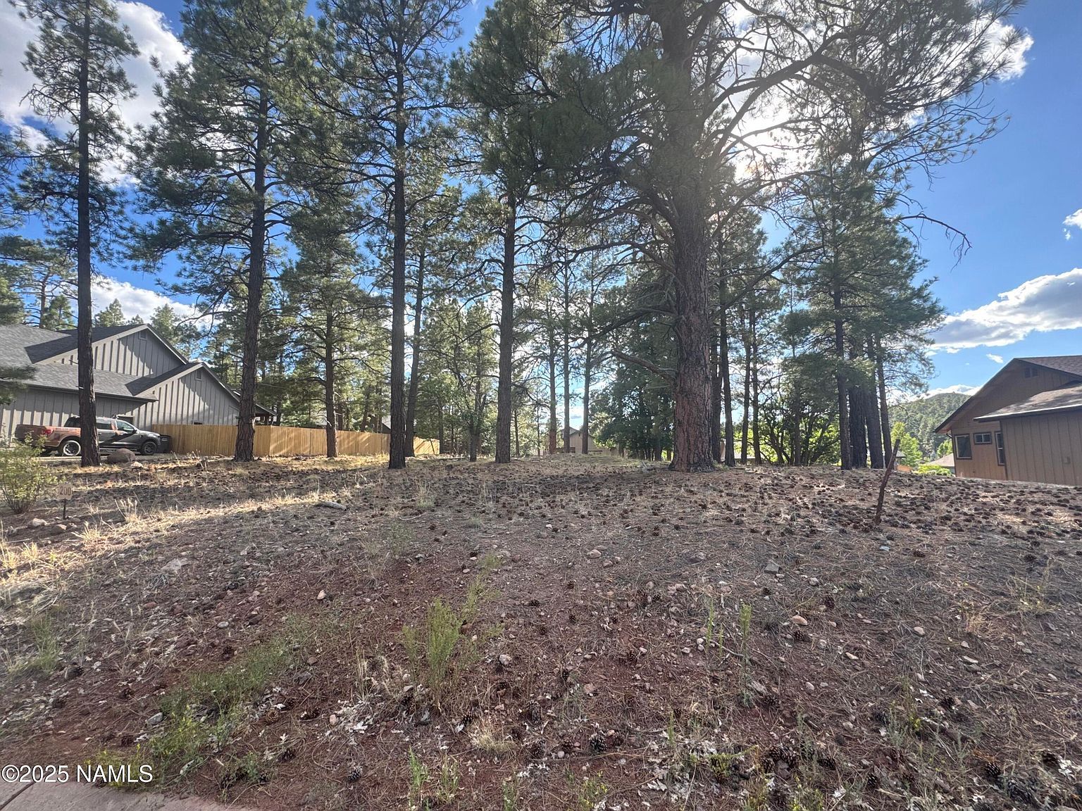 938 S Torrey Pines Dr Williams, AZ 86046 - Thumbnail 3