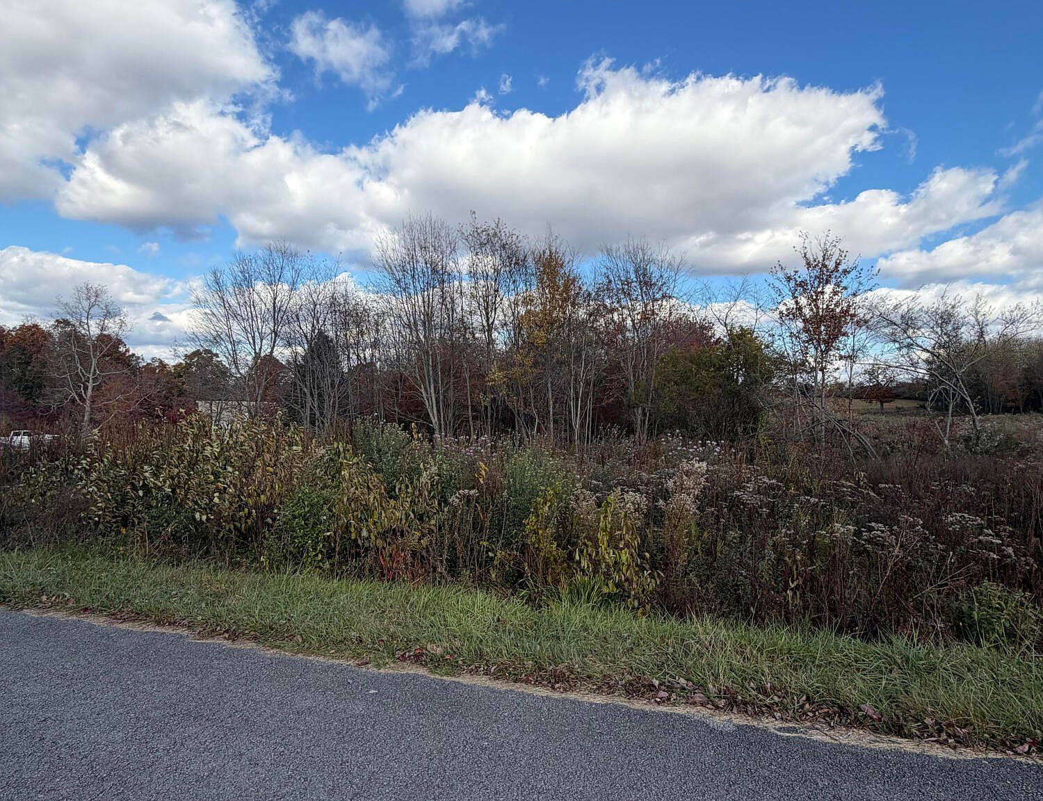 Woodgate Dr Crossville, TN 38558 - Thumbnail 3