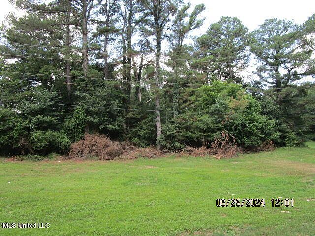 Stage Rd Coldwater, MS 38618 - Thumbnail 3