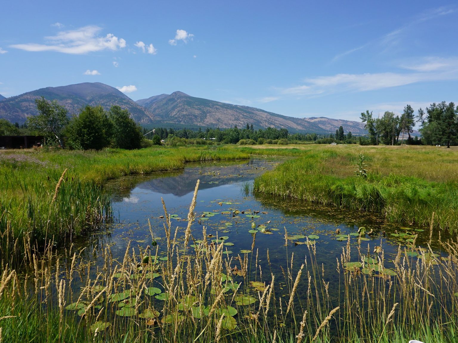 5511 Klements Ln Florence, MT 59833 - Thumbnail 3