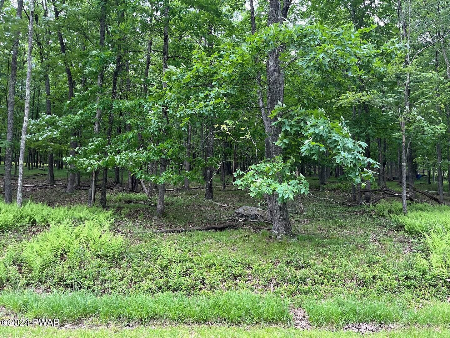 Deer Run Rd, Lakeville, PA, 18438 - Thumbnail 3