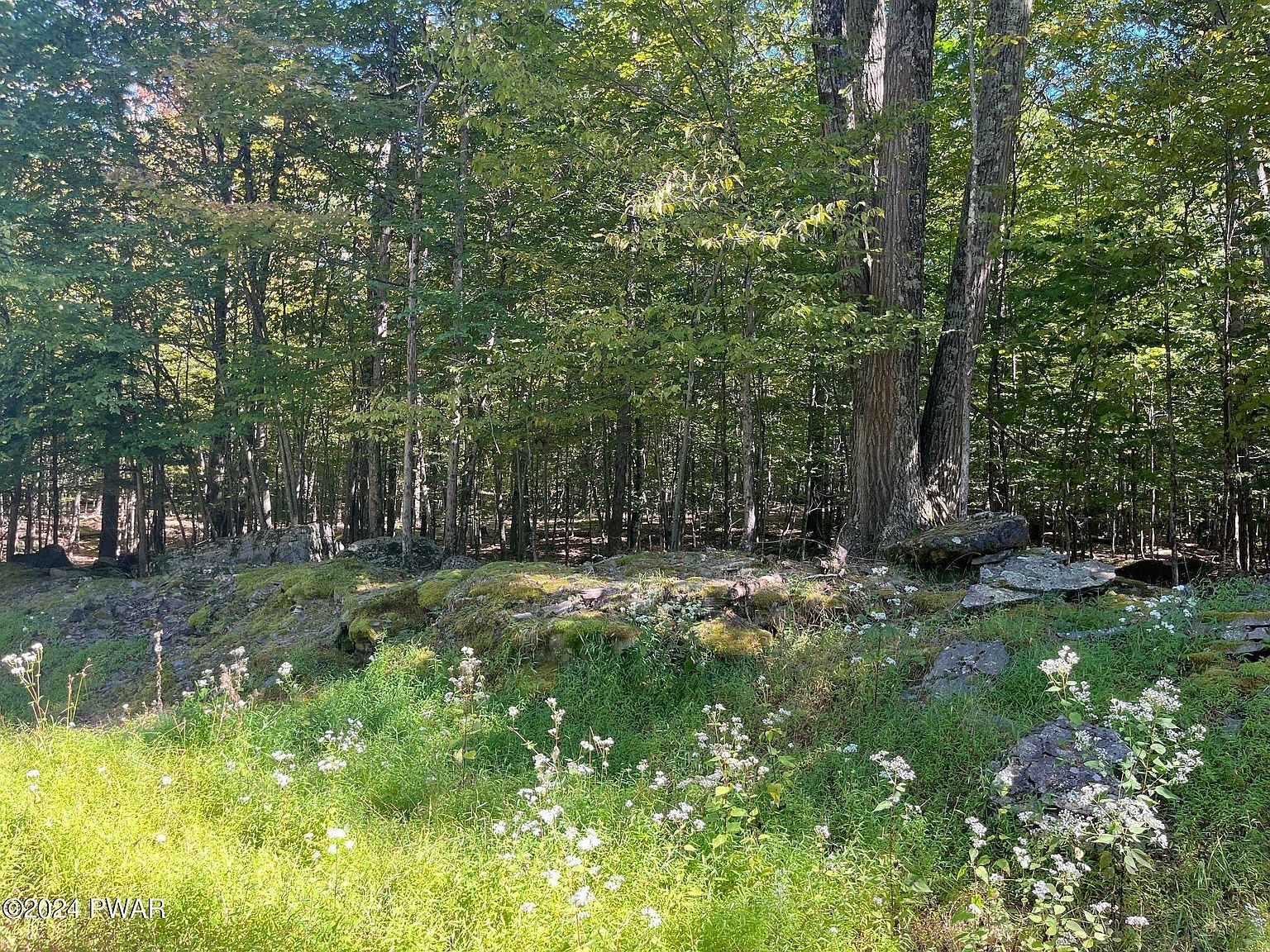 LOT 756 Fawn Rd Hawley, PA 18428 - Thumbnail 3