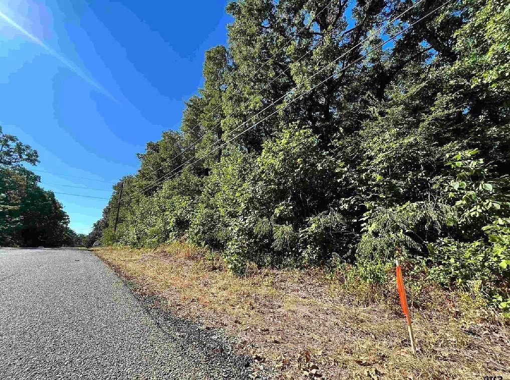 104 Red Bluff Loop Mabank, TX 75156 - Thumbnail 3