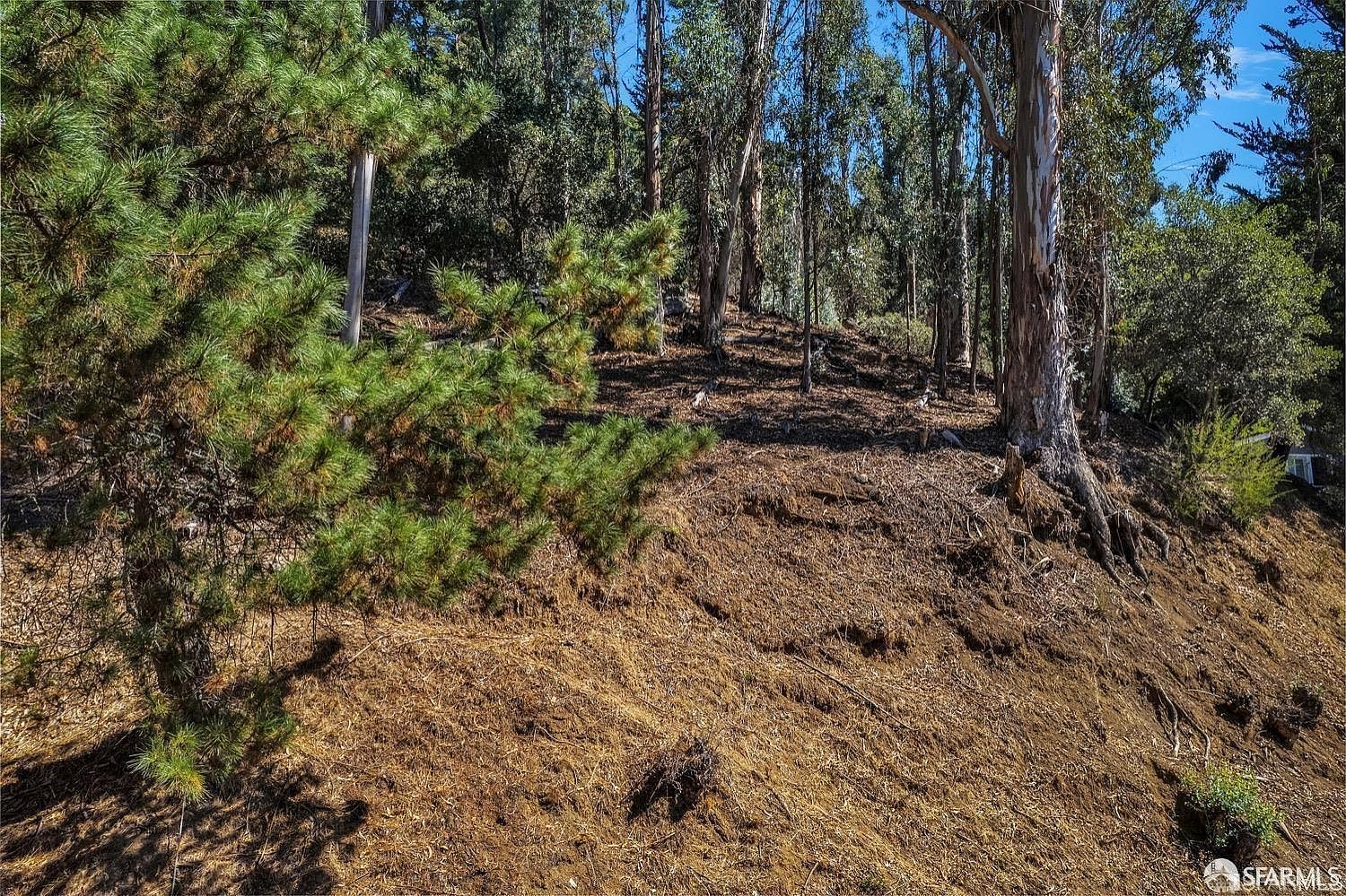 0 Ascot Dr Oakland, CA 94611 - Thumbnail 3