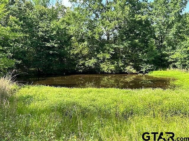 0 Vz County Road 1128 Fruitvale, TX 75127 - Thumbnail 3