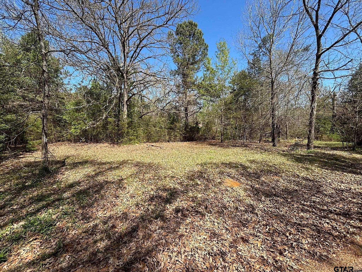 0 County Road 341 Tyler, TX 75706 - Thumbnail 3