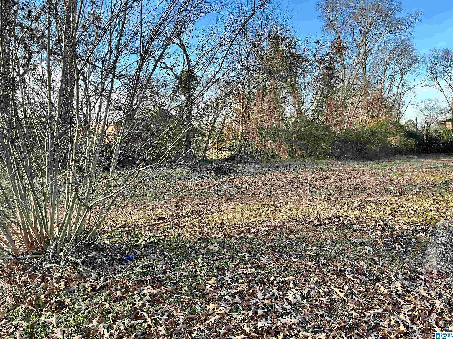 107 Dabbs Ave #107 Bessemer, AL 35023 - Thumbnail 3