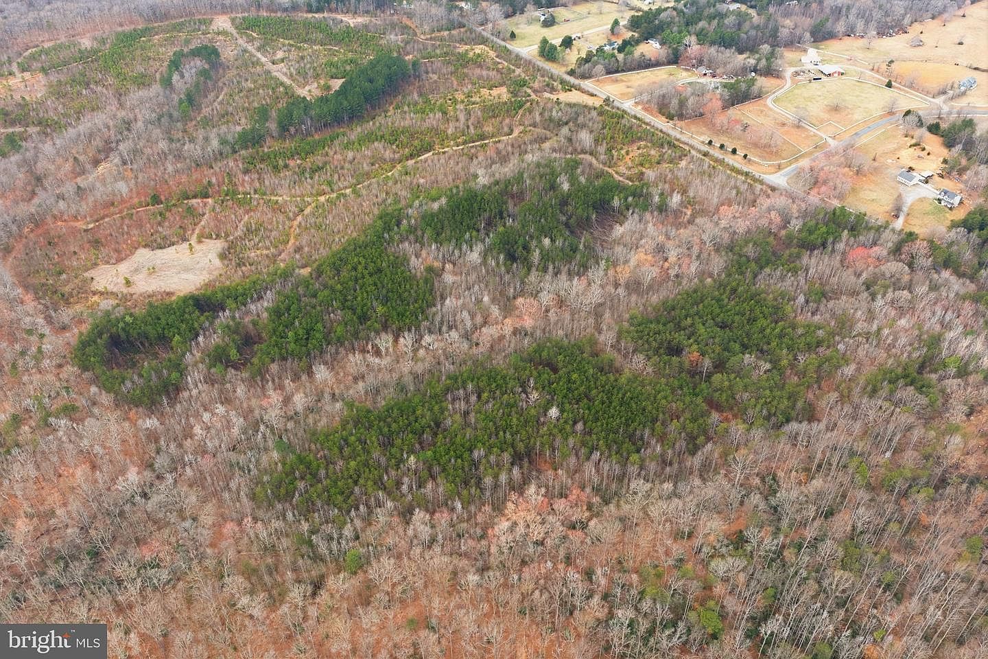 5190 Dickerson Rd Partlow, VA 22534 - Thumbnail 3