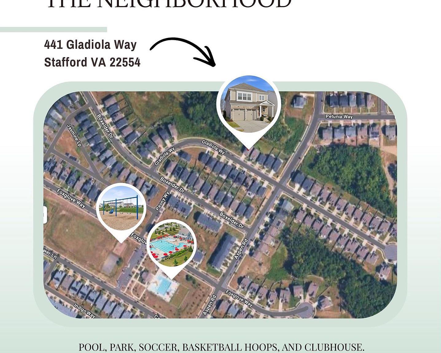 441 Gladiola Way Stafford, VA 22554 - Thumbnail 3