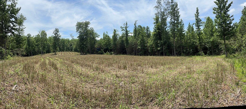 0 Hamilton Rd #2 Springville, TN 38256 - Thumbnail 3